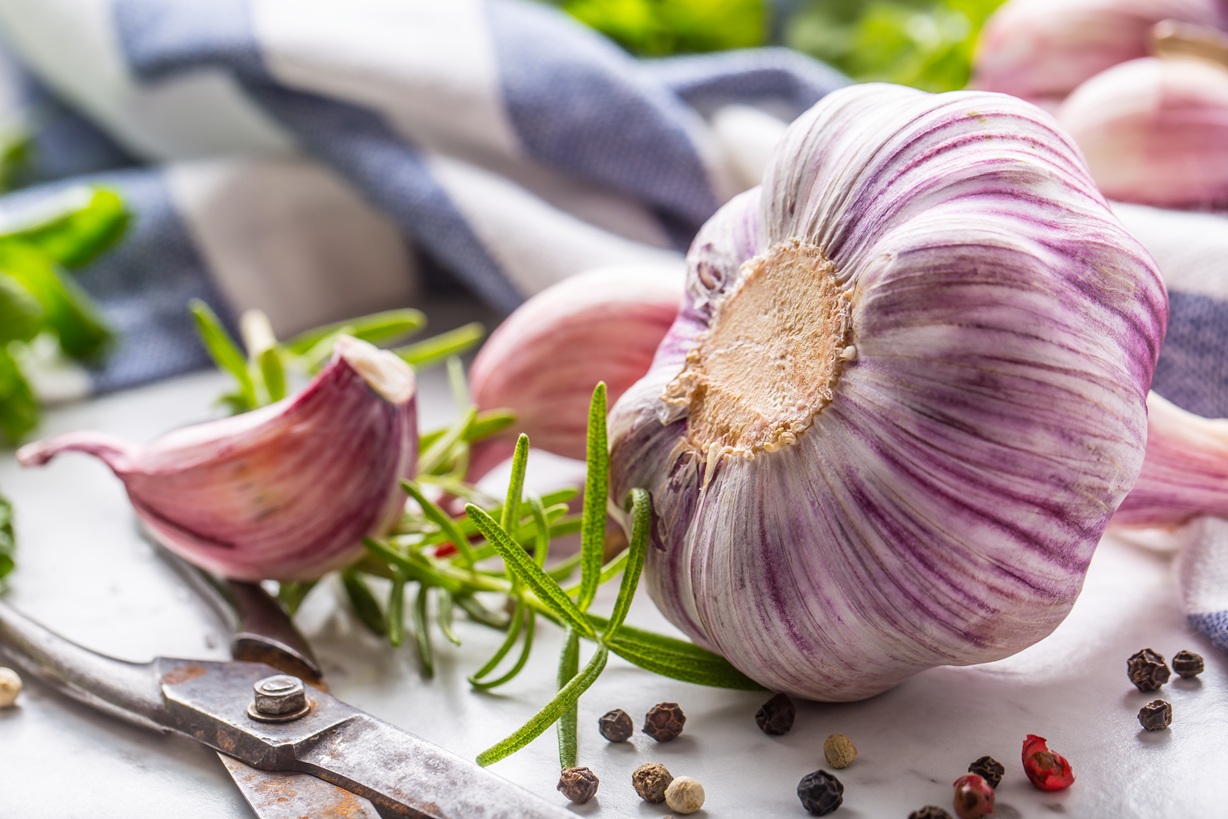 You are currently viewing Why Garlic Deserves a Place in Your Daily Diet